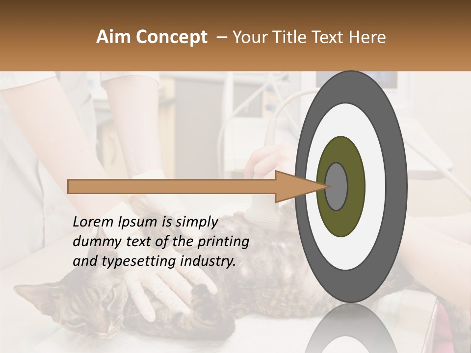 A Cat Is Being Examined By A Veterinator PowerPoint Template