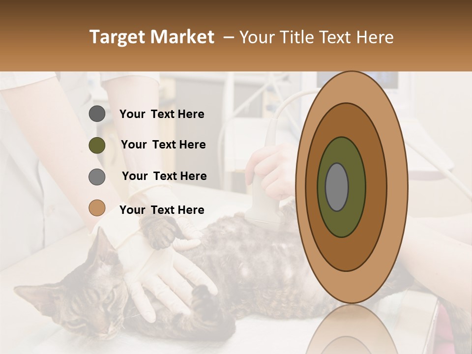 A Cat Is Being Examined By A Veterinator PowerPoint Template