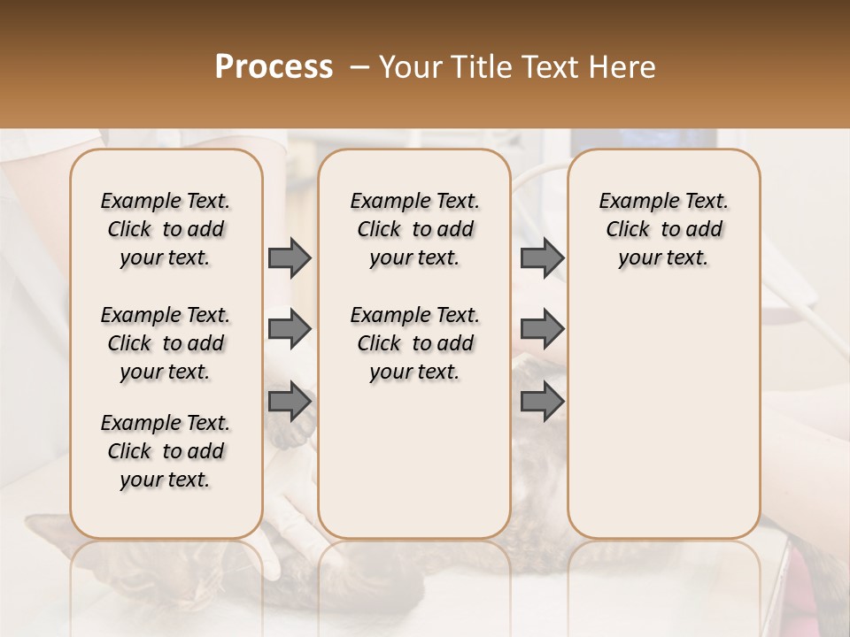 A Cat Is Being Examined By A Veterinator PowerPoint Template