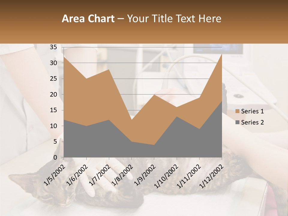 A Cat Is Being Examined By A Veterinator PowerPoint Template