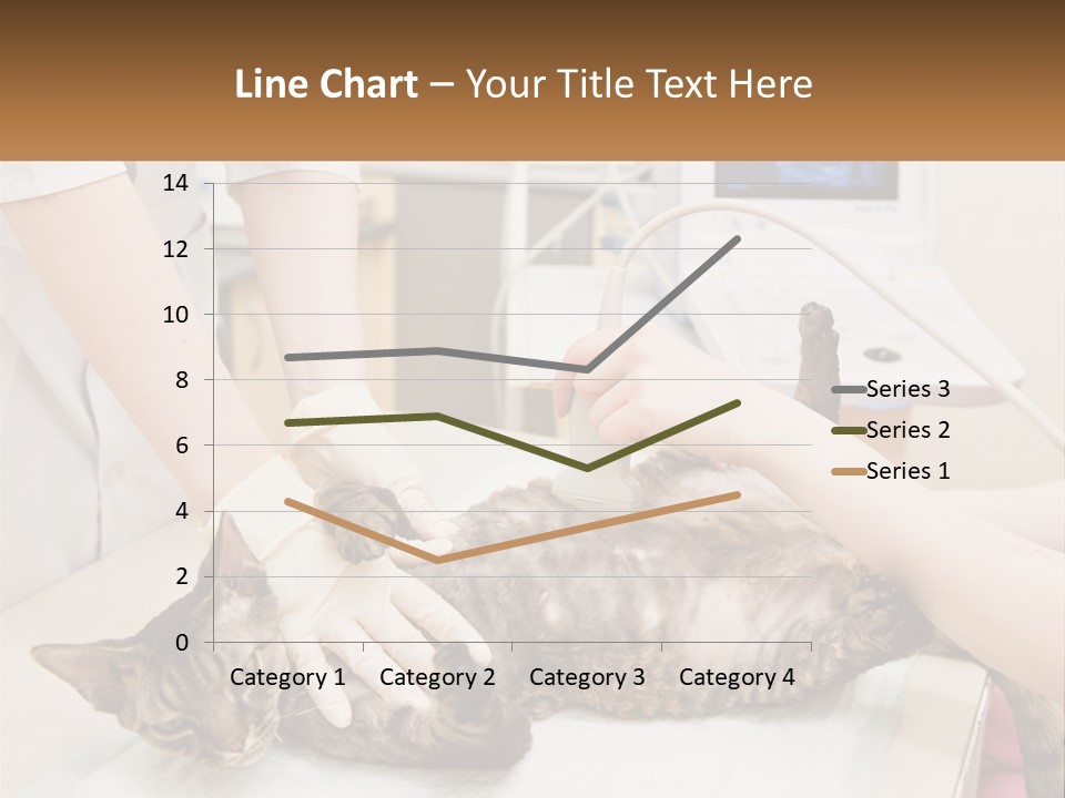 A Cat Is Being Examined By A Veterinator PowerPoint Template
