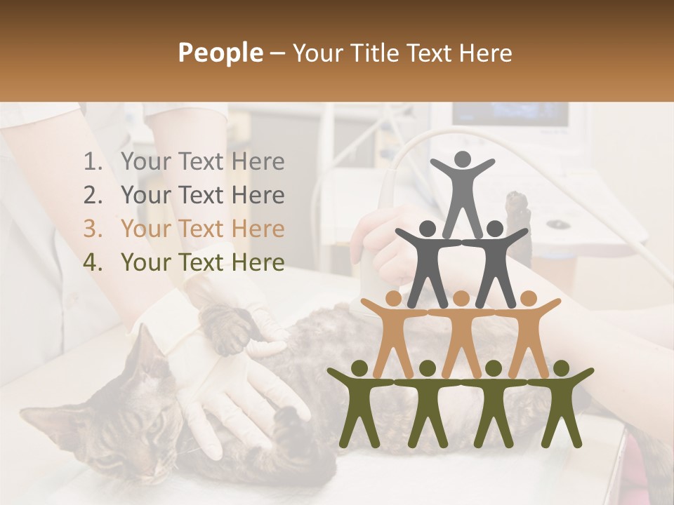 A Cat Is Being Examined By A Veterinator PowerPoint Template