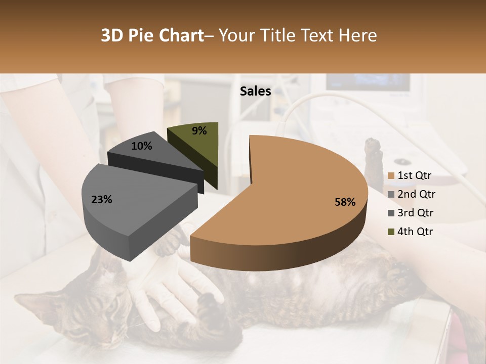 A Cat Is Being Examined By A Veterinator PowerPoint Template