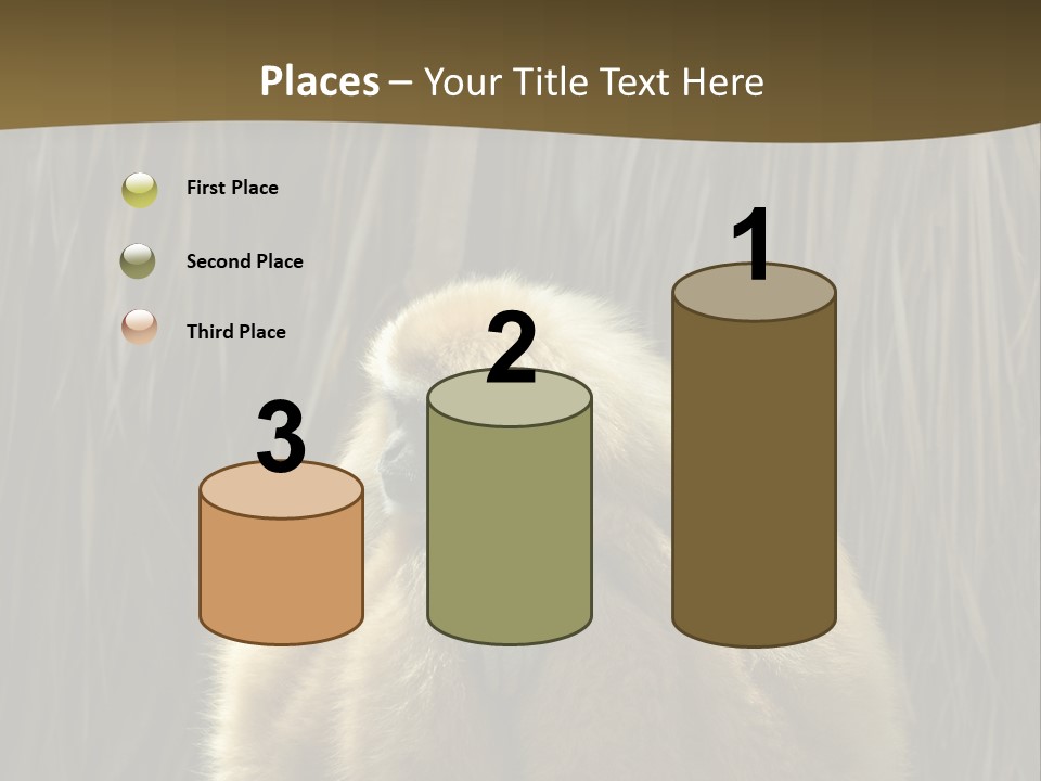 A Monkey Sitting On Top Of A Wooden Post PowerPoint Template