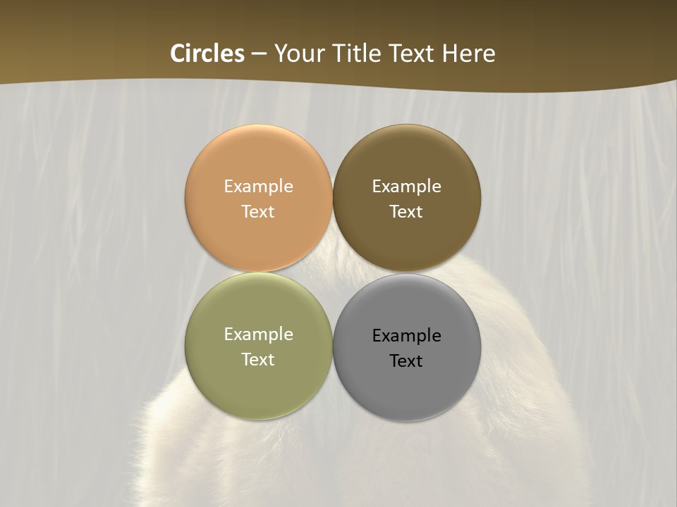 A Monkey Sitting On Top Of A Wooden Post PowerPoint Template