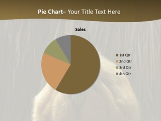 A Monkey Sitting On Top Of A Wooden Post PowerPoint Template
