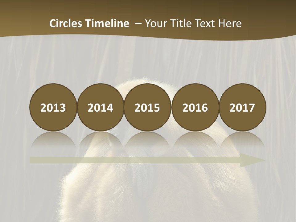 A Monkey Sitting On Top Of A Wooden Post PowerPoint Template