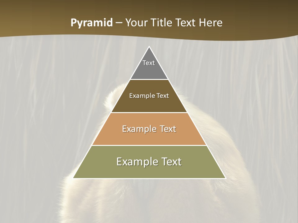 A Monkey Sitting On Top Of A Wooden Post PowerPoint Template