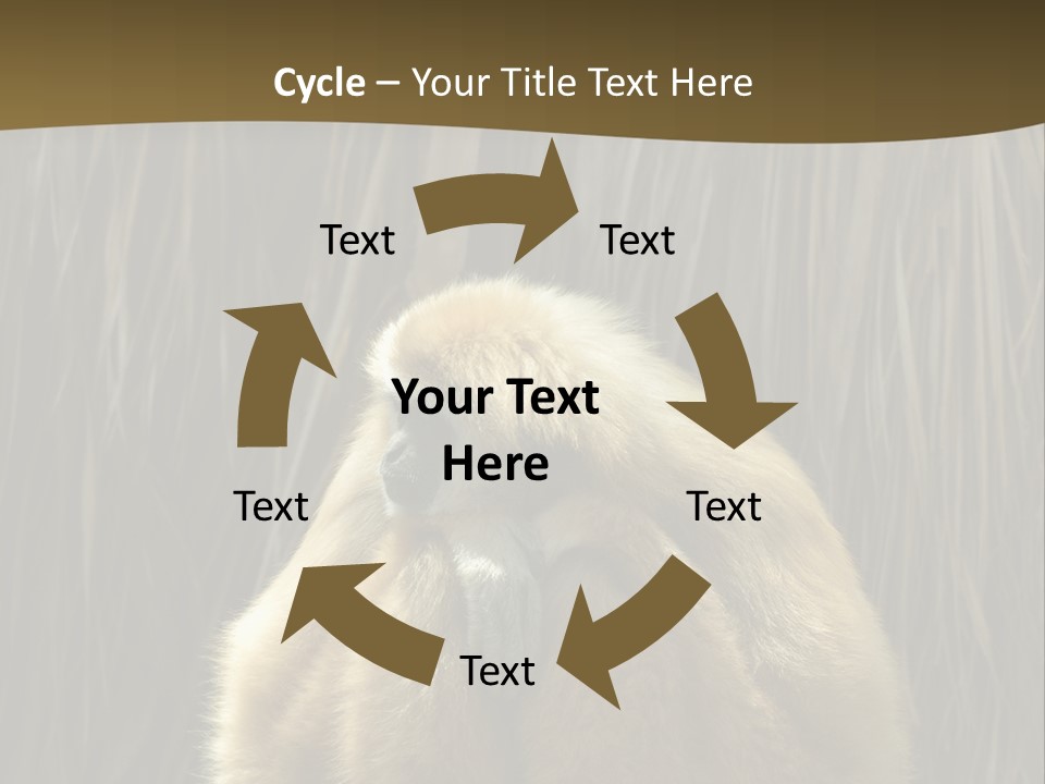 A Monkey Sitting On Top Of A Wooden Post PowerPoint Template