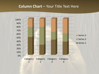 A Monkey Sitting On Top Of A Wooden Post PowerPoint Template