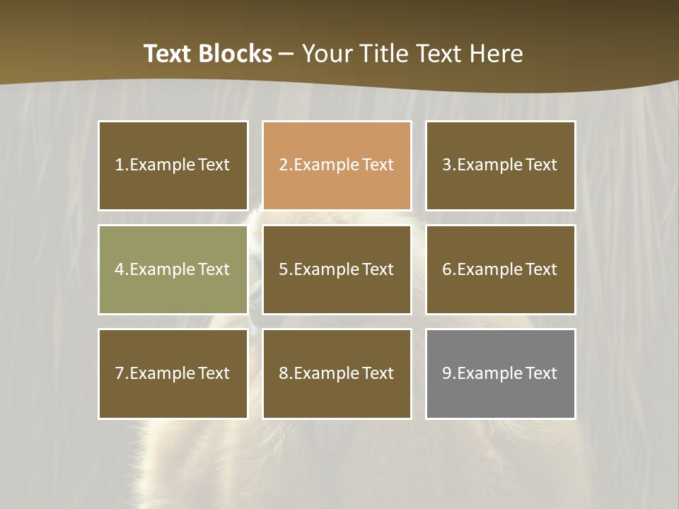 A Monkey Sitting On Top Of A Wooden Post PowerPoint Template