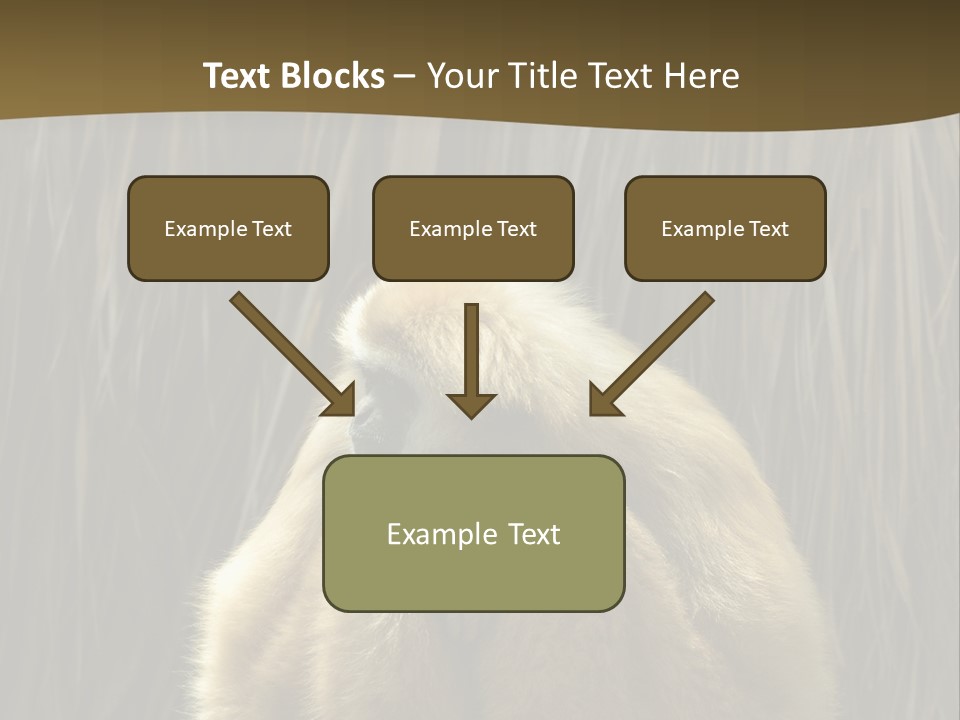 A Monkey Sitting On Top Of A Wooden Post PowerPoint Template