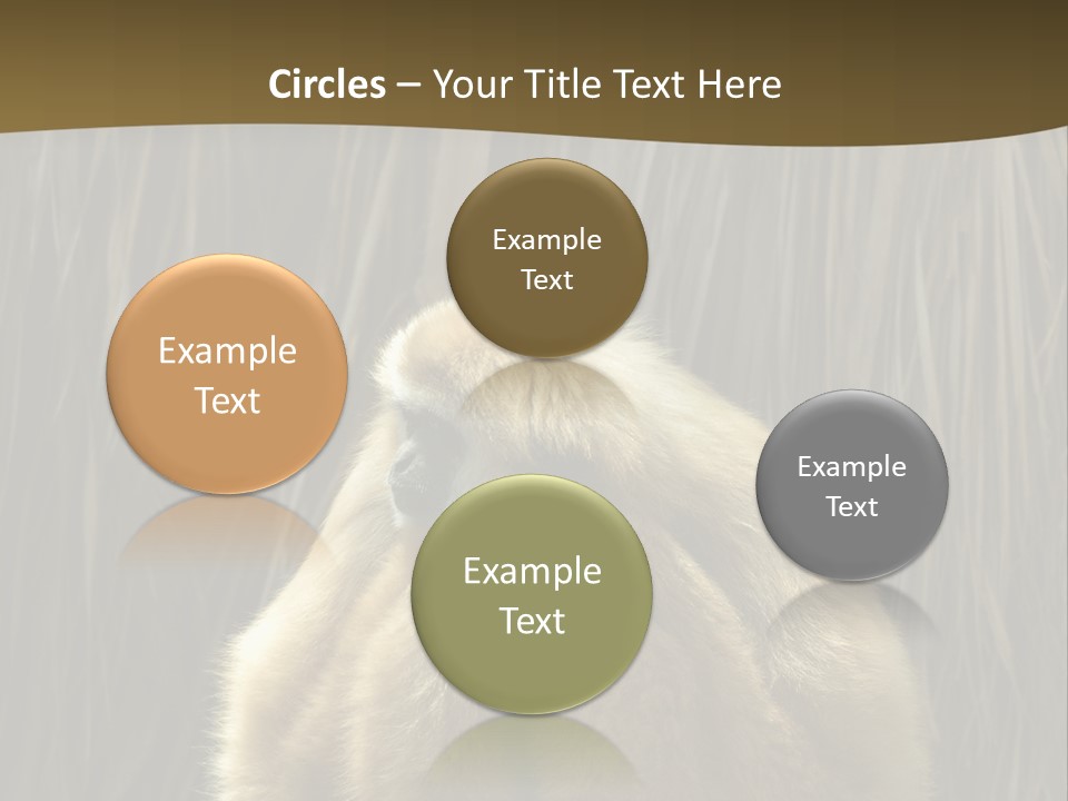 A Monkey Sitting On Top Of A Wooden Post PowerPoint Template