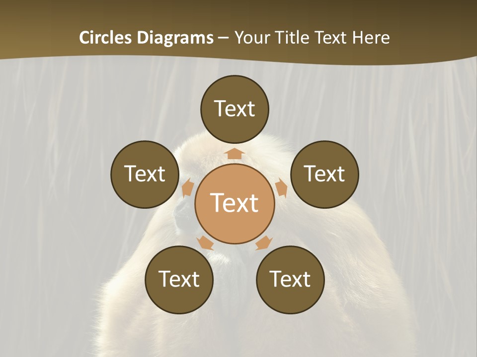 A Monkey Sitting On Top Of A Wooden Post PowerPoint Template