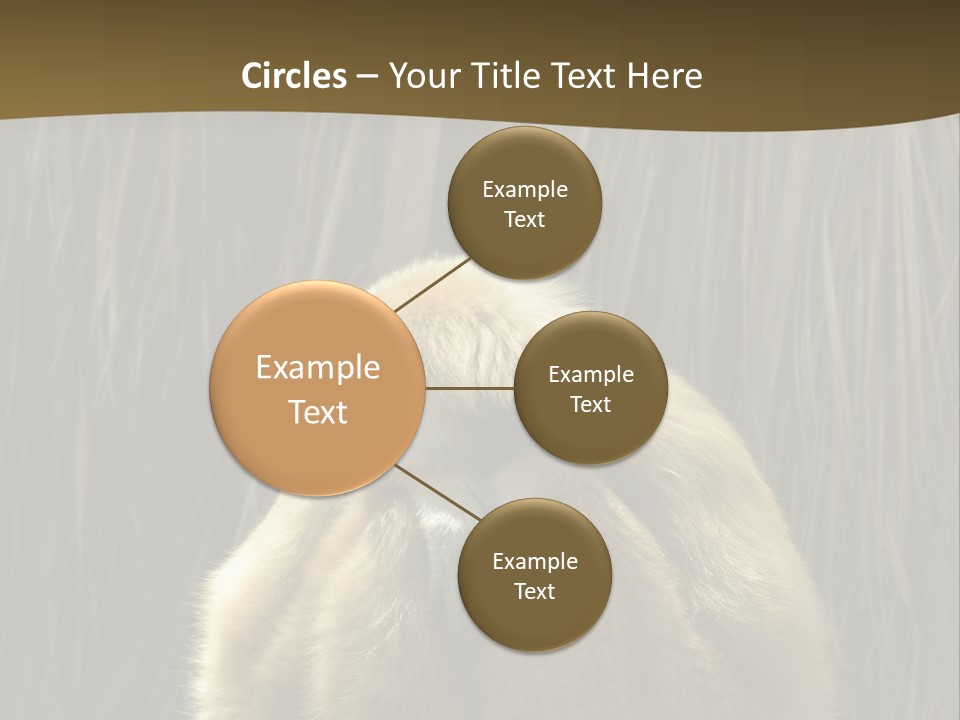 A Monkey Sitting On Top Of A Wooden Post PowerPoint Template