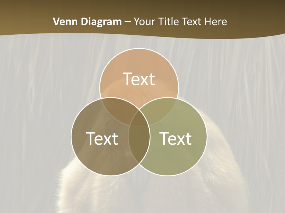 A Monkey Sitting On Top Of A Wooden Post PowerPoint Template