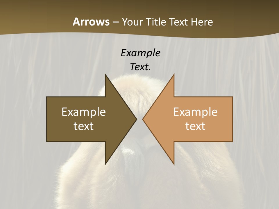 A Monkey Sitting On Top Of A Wooden Post PowerPoint Template