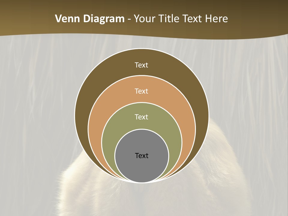 A Monkey Sitting On Top Of A Wooden Post PowerPoint Template