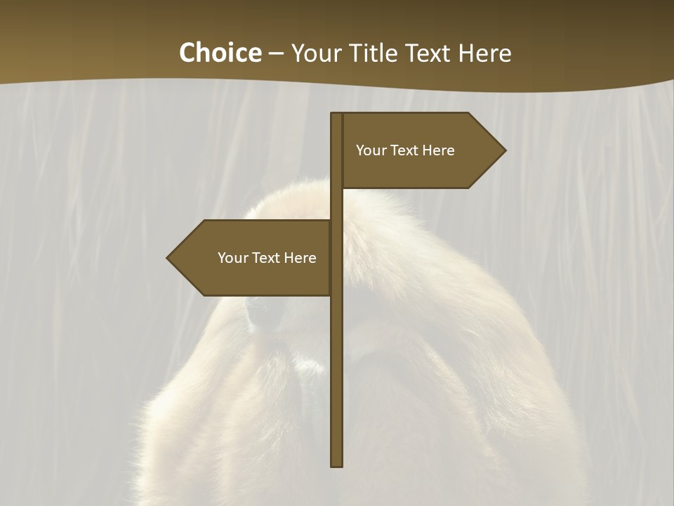 A Monkey Sitting On Top Of A Wooden Post PowerPoint Template