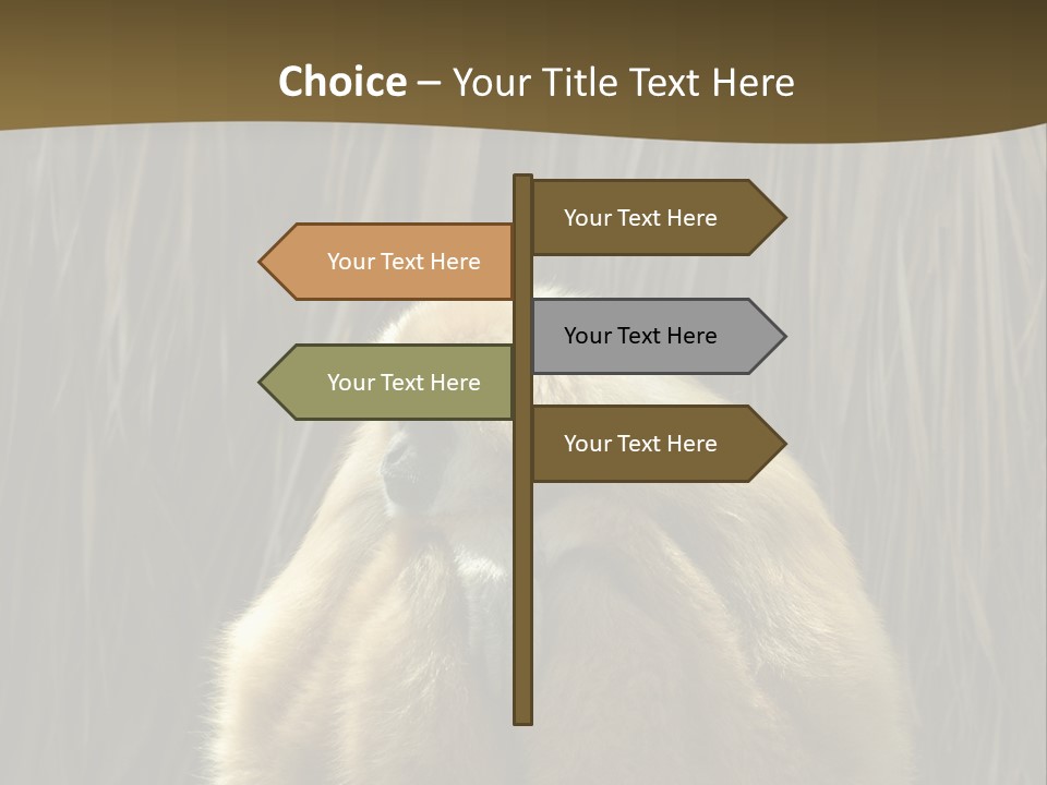 A Monkey Sitting On Top Of A Wooden Post PowerPoint Template
