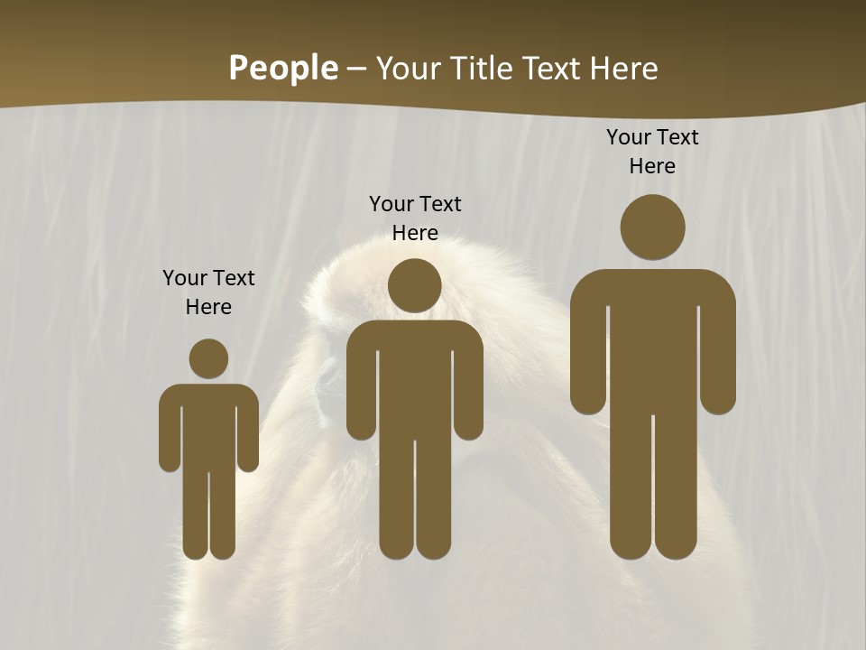 A Monkey Sitting On Top Of A Wooden Post PowerPoint Template