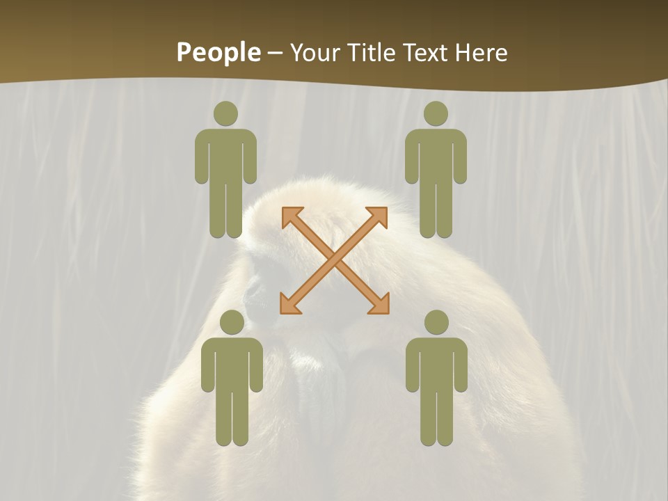 A Monkey Sitting On Top Of A Wooden Post PowerPoint Template