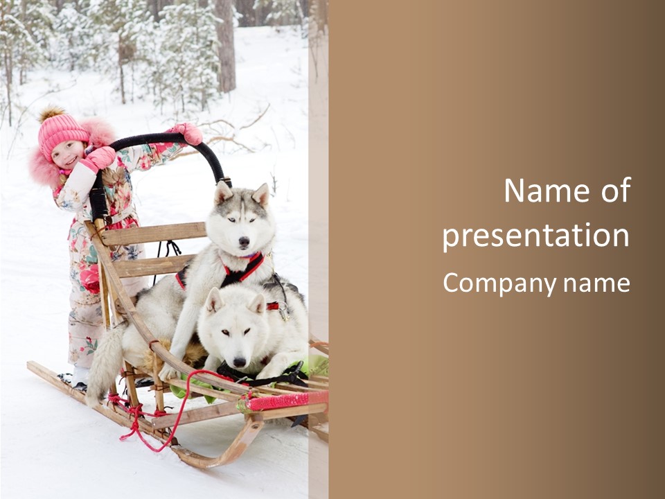 A Woman Riding A Sled With Two Dogs On It PowerPoint Template