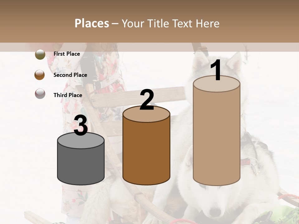 A Woman Riding A Sled With Two Dogs On It PowerPoint Template