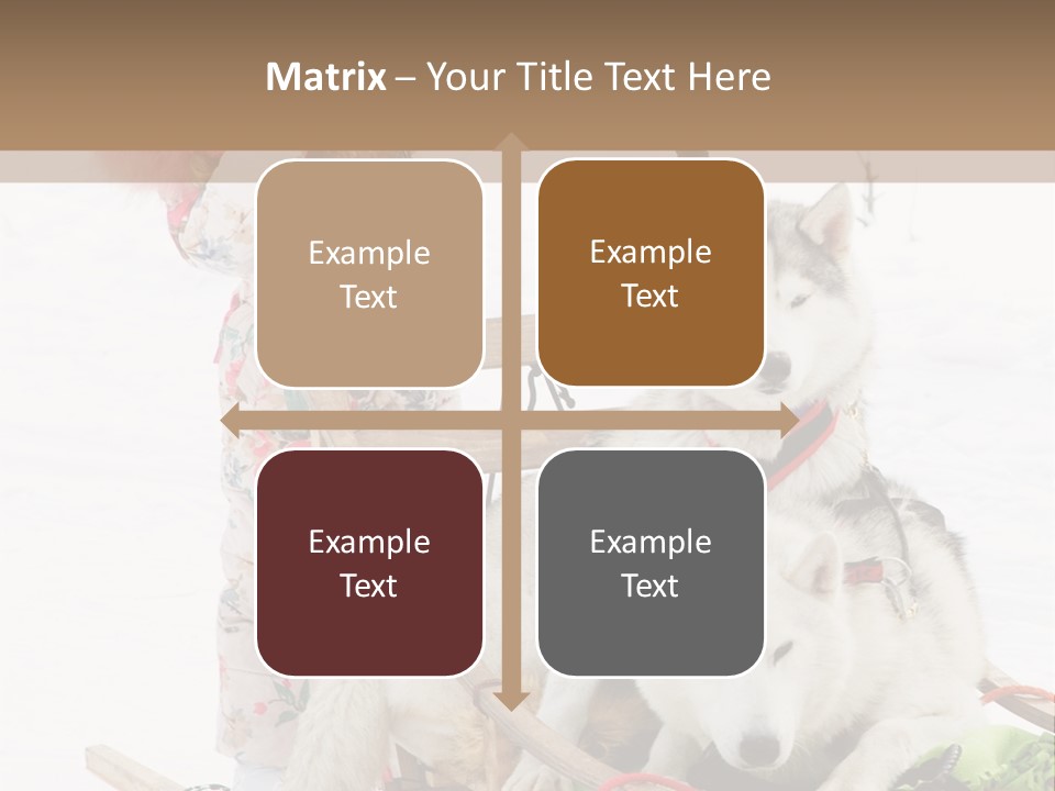 A Woman Riding A Sled With Two Dogs On It PowerPoint Template