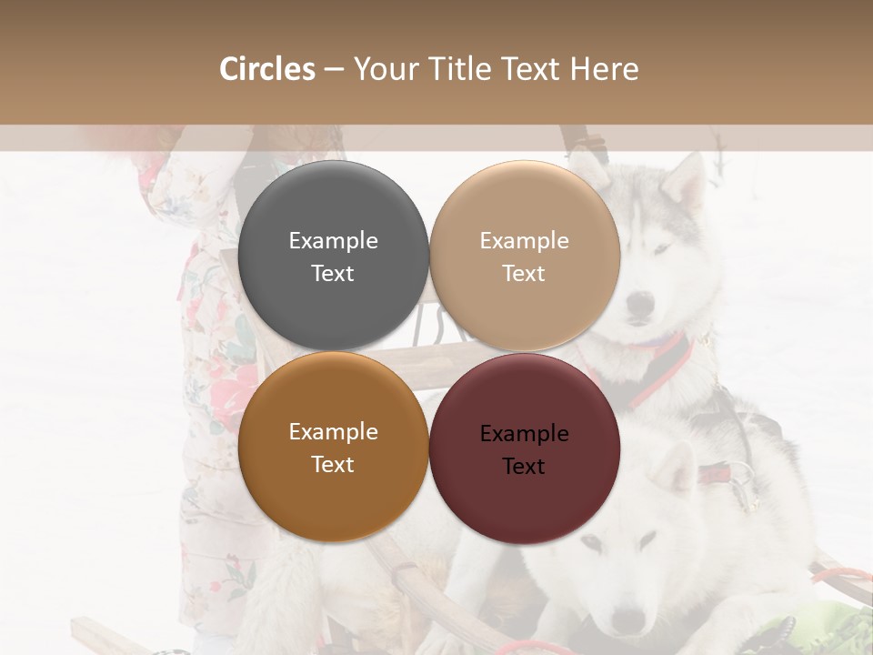 A Woman Riding A Sled With Two Dogs On It PowerPoint Template