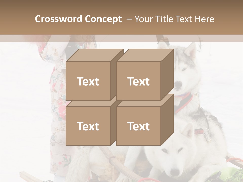 A Woman Riding A Sled With Two Dogs On It PowerPoint Template