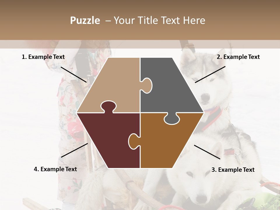 A Woman Riding A Sled With Two Dogs On It PowerPoint Template