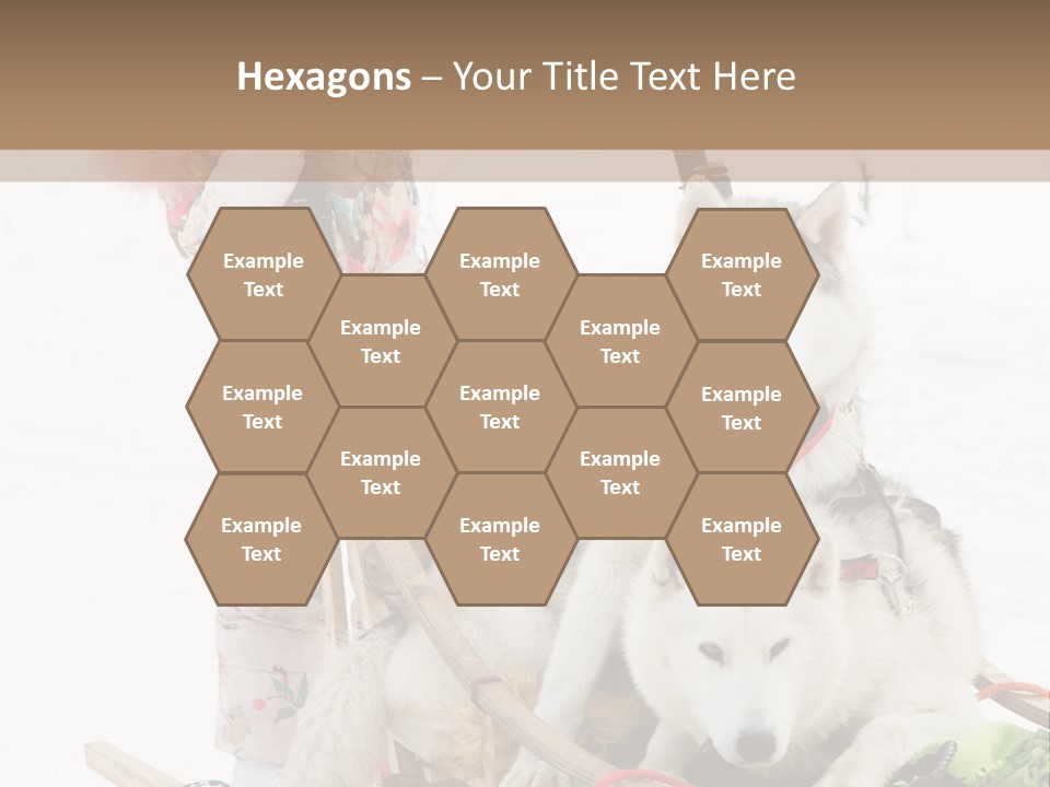 A Woman Riding A Sled With Two Dogs On It PowerPoint Template