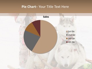 A Woman Riding A Sled With Two Dogs On It PowerPoint Template