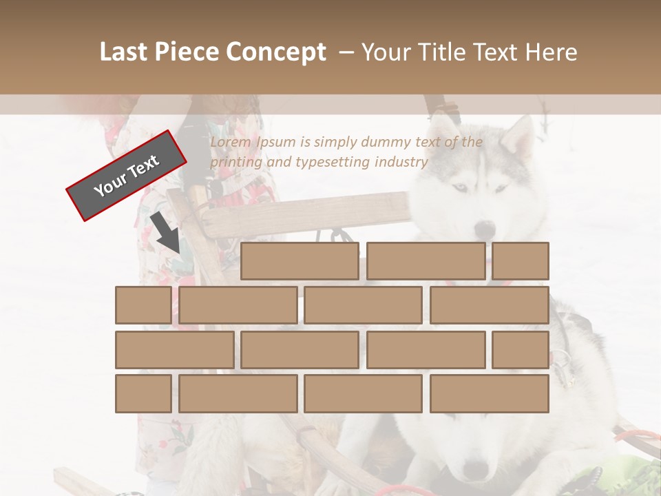 A Woman Riding A Sled With Two Dogs On It PowerPoint Template
