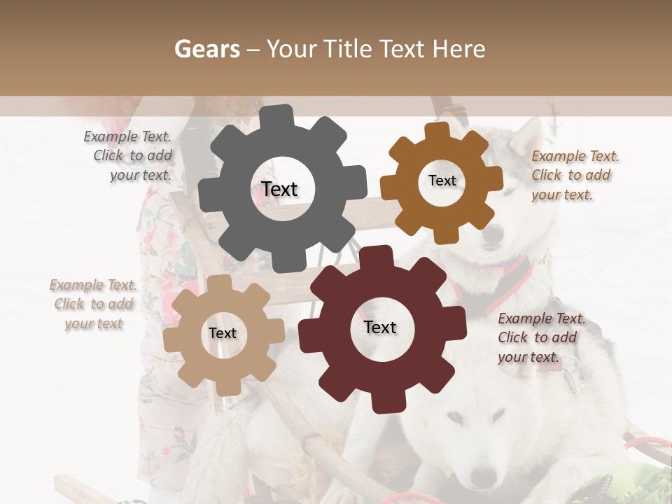 A Woman Riding A Sled With Two Dogs On It PowerPoint Template