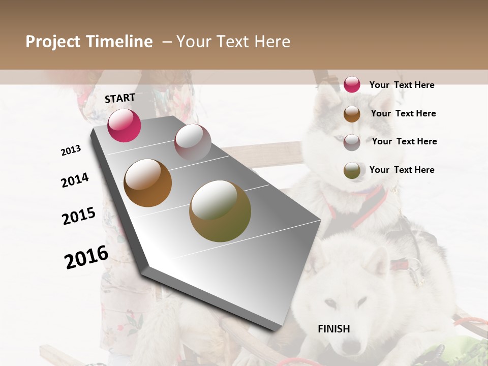 A Woman Riding A Sled With Two Dogs On It PowerPoint Template