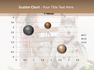 A Woman Riding A Sled With Two Dogs On It PowerPoint Template
