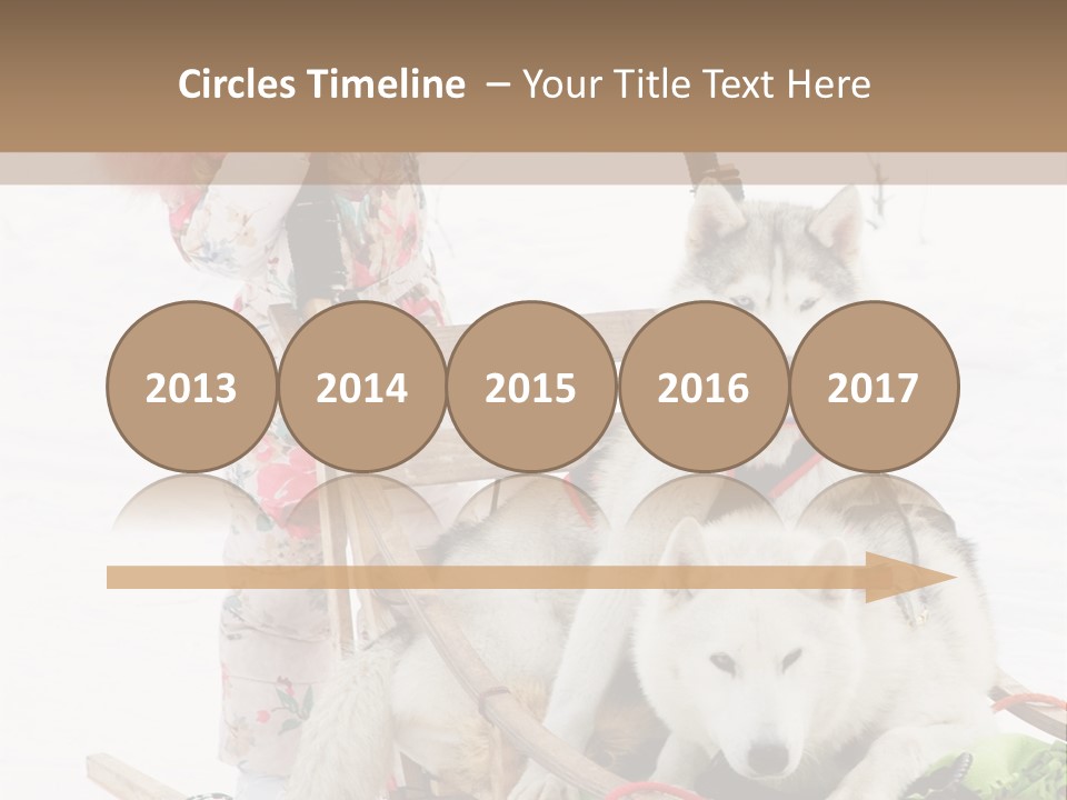 A Woman Riding A Sled With Two Dogs On It PowerPoint Template