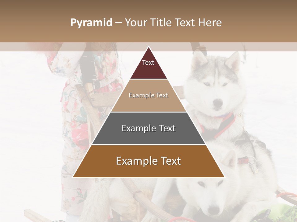 A Woman Riding A Sled With Two Dogs On It PowerPoint Template