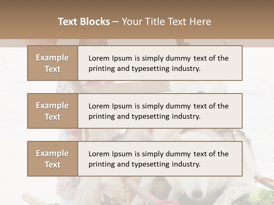 A Woman Riding A Sled With Two Dogs On It PowerPoint Template