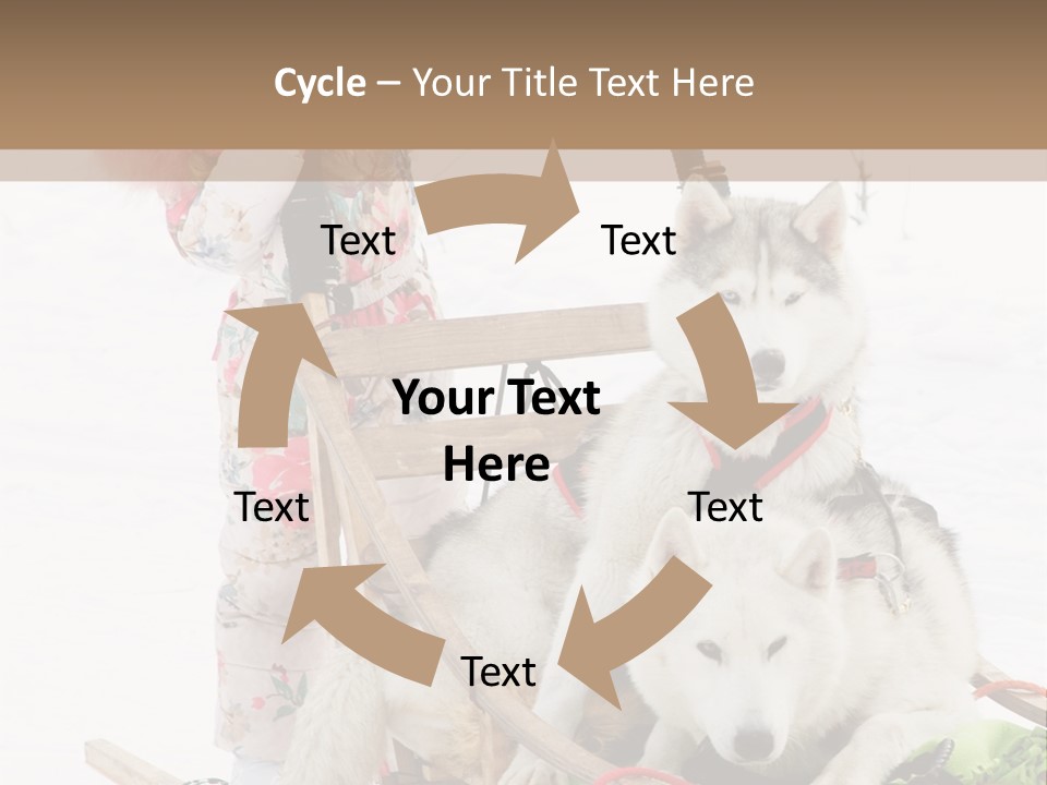A Woman Riding A Sled With Two Dogs On It PowerPoint Template