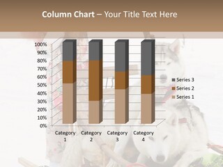 A Woman Riding A Sled With Two Dogs On It PowerPoint Template