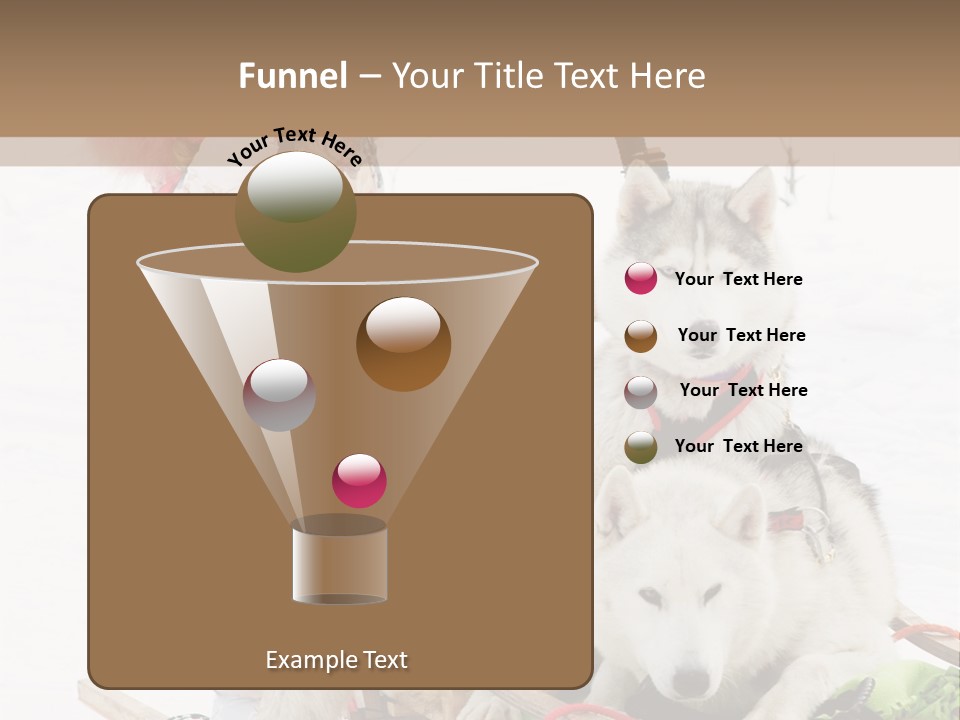 A Woman Riding A Sled With Two Dogs On It PowerPoint Template