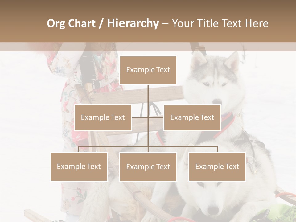 A Woman Riding A Sled With Two Dogs On It PowerPoint Template