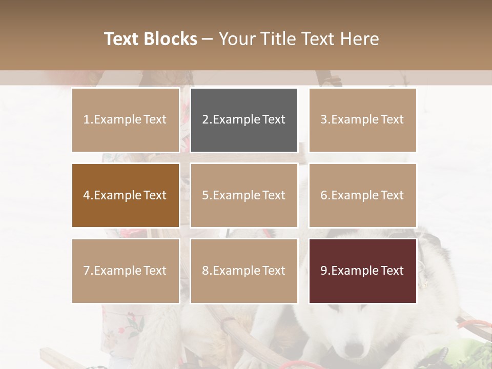 A Woman Riding A Sled With Two Dogs On It PowerPoint Template