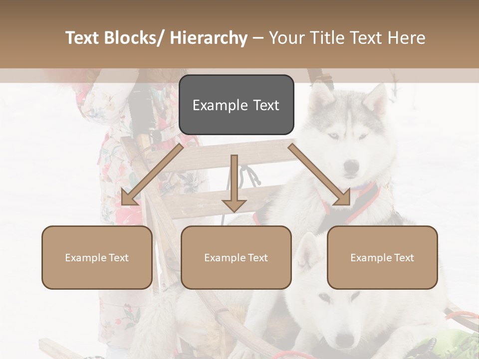 A Woman Riding A Sled With Two Dogs On It PowerPoint Template