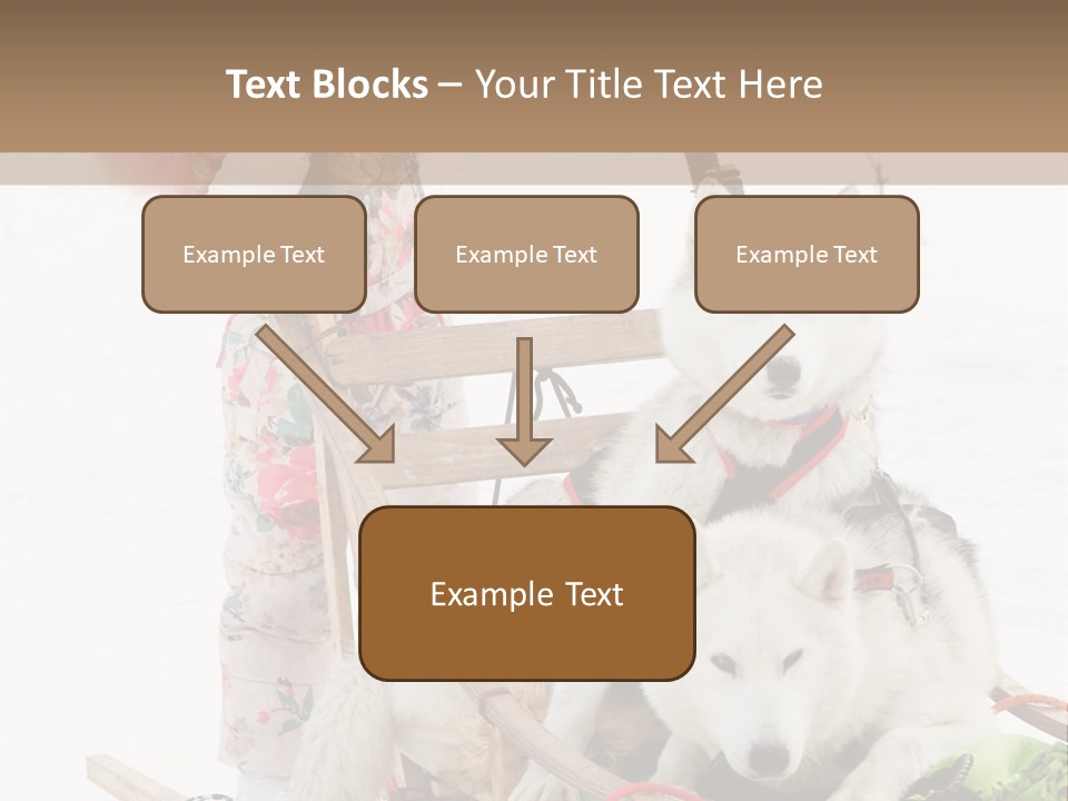A Woman Riding A Sled With Two Dogs On It PowerPoint Template
