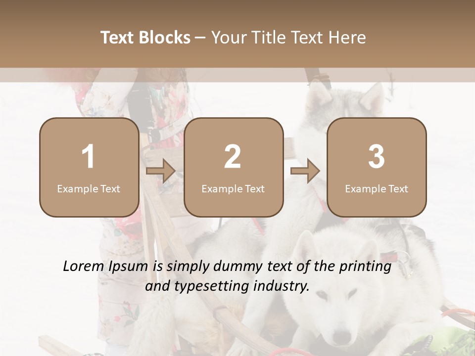 A Woman Riding A Sled With Two Dogs On It PowerPoint Template