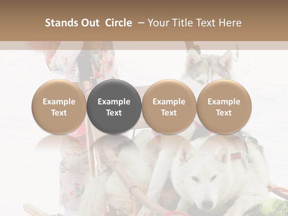 A Woman Riding A Sled With Two Dogs On It PowerPoint Template
